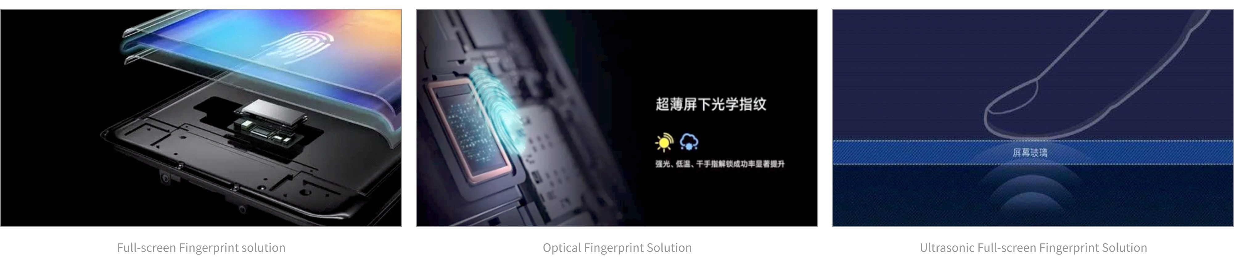 ŷ����Ϸ����