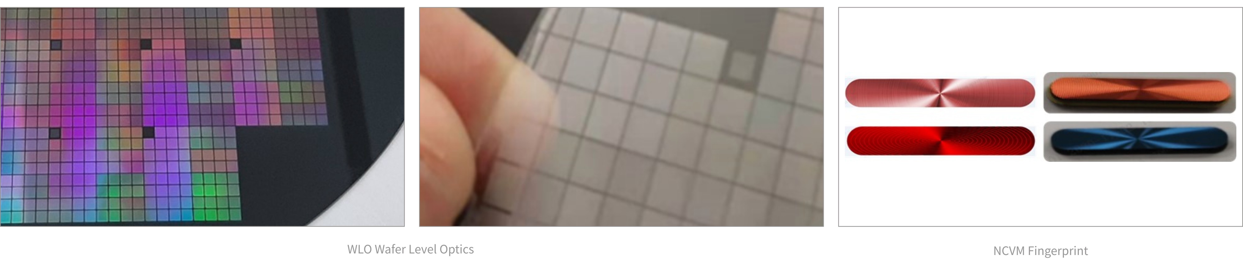 ŷ����Ϸ����