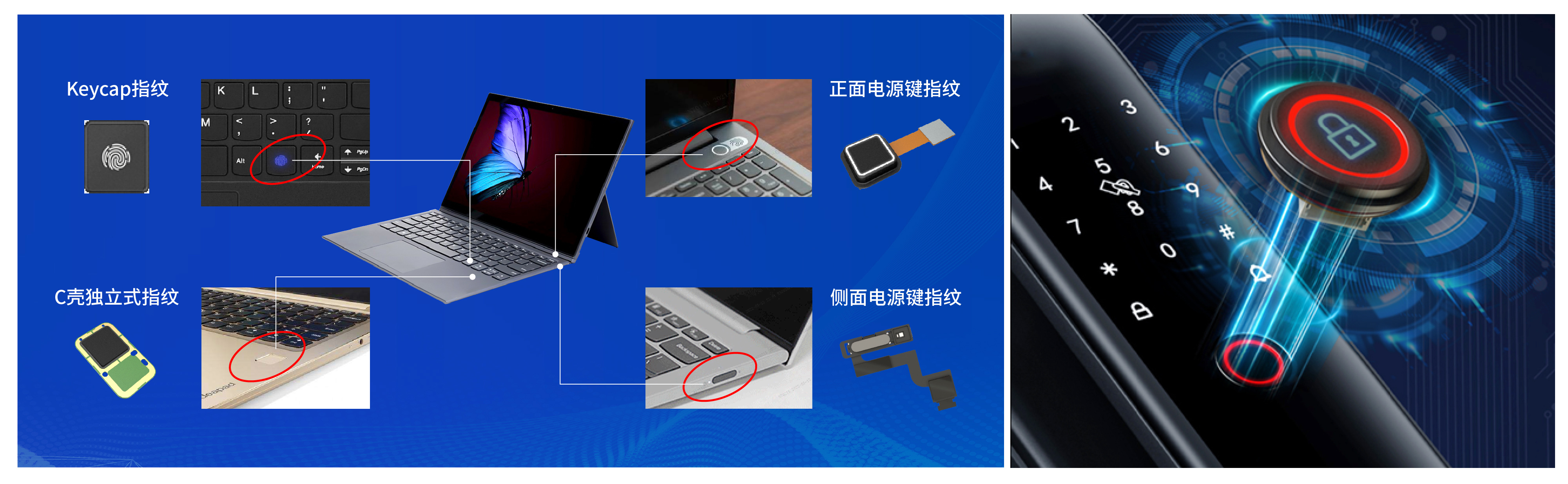 ŷ����Ϸ����